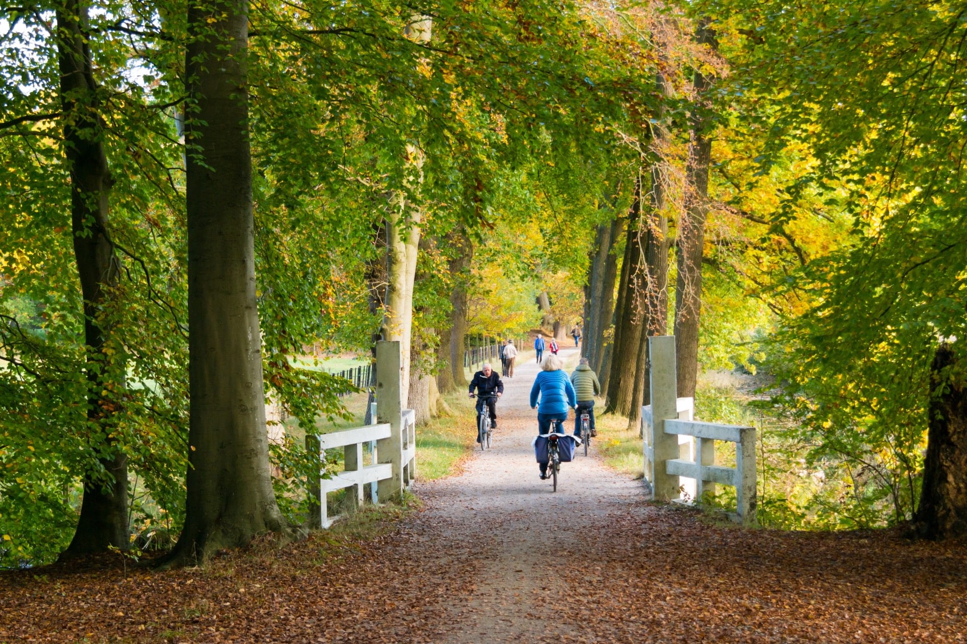 Achtergrond challenge