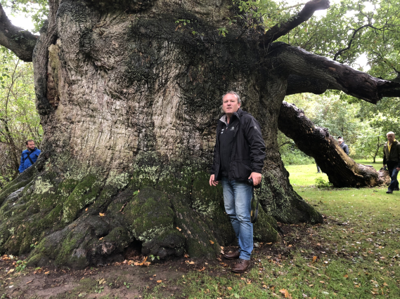 Bomen Out Of The Box