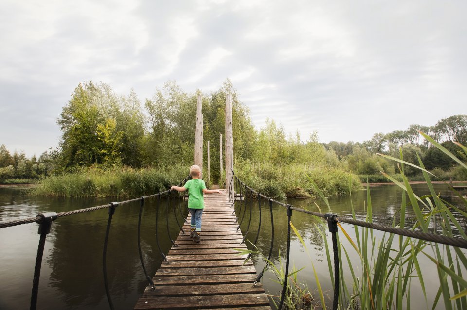 Flevopolder 1200 ha meer bos