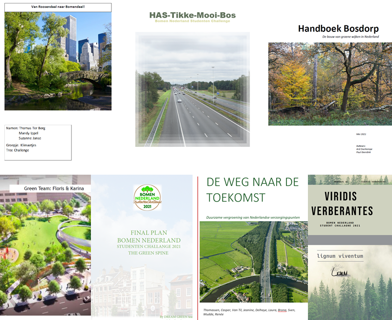Studenten leveren briljante ideeën voor vergroening