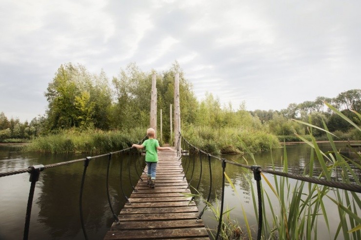 Flevopolder 1200 ha meer bos